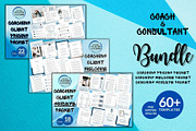 Coaching Client Template Bundle, a Magazine Template by ProductiveandFree (Thumbnail 1 of 23)