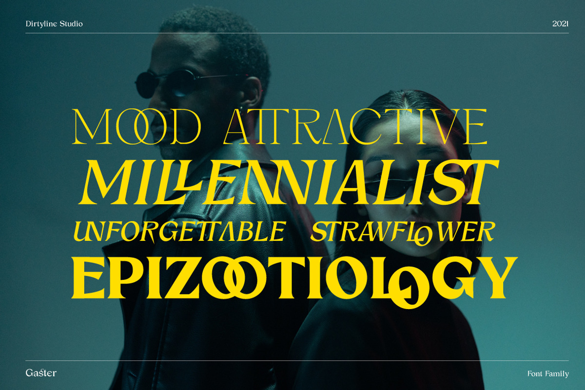 Dx Gaster + Italic, a Serif Font by Dirtyline Studio (Photo 3 of 11)