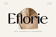 Molvan - Editorial Serif Font, a Serif Font by roomspace creative lab (Thumbnail 8 of 9)