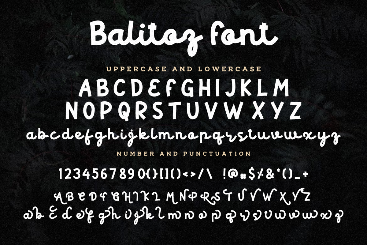 Balitos Monoline Bold, a Script Font by Typegoals Studio (Photo 6 of 7)