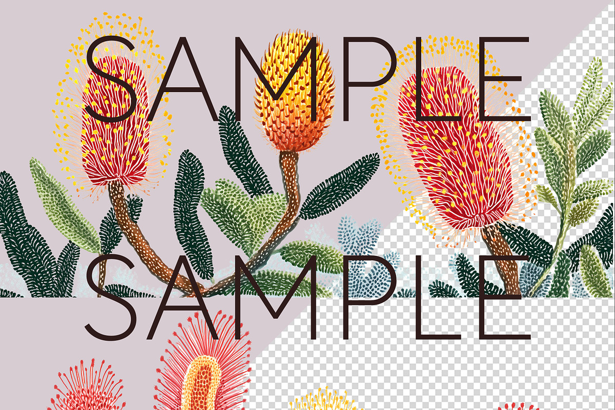 Aboriginal-Style Australian Borders, a Decorative Illustration by Pawcasso's Portraits (Photo 3 of 7)