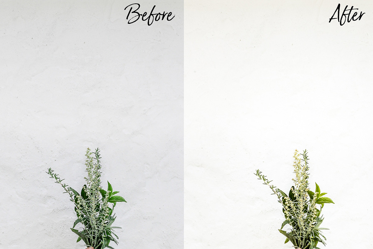 Desktop Lightroom Preset preview 4