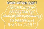 Spiced Autumn Playfull Dual Font, a Handwritten Font by deadlock studio (Thumbnail 10 of 10)