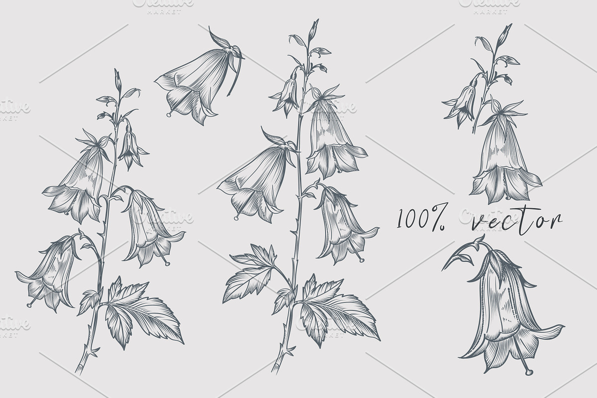 Floral Patterns & Vector Elements, a Decorative Illustration by FleurArt (Photo 4 of 6)