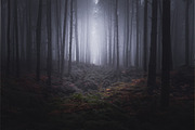 64 Lightroom Presets: Core Set, an Action Add-On by Frederick & Lightroom (Thumbnail 12 of 15)
