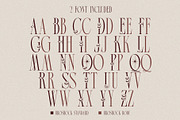 Broshock Typeface, a Serif Font by alit design (Thumbnail 4 of 20)
