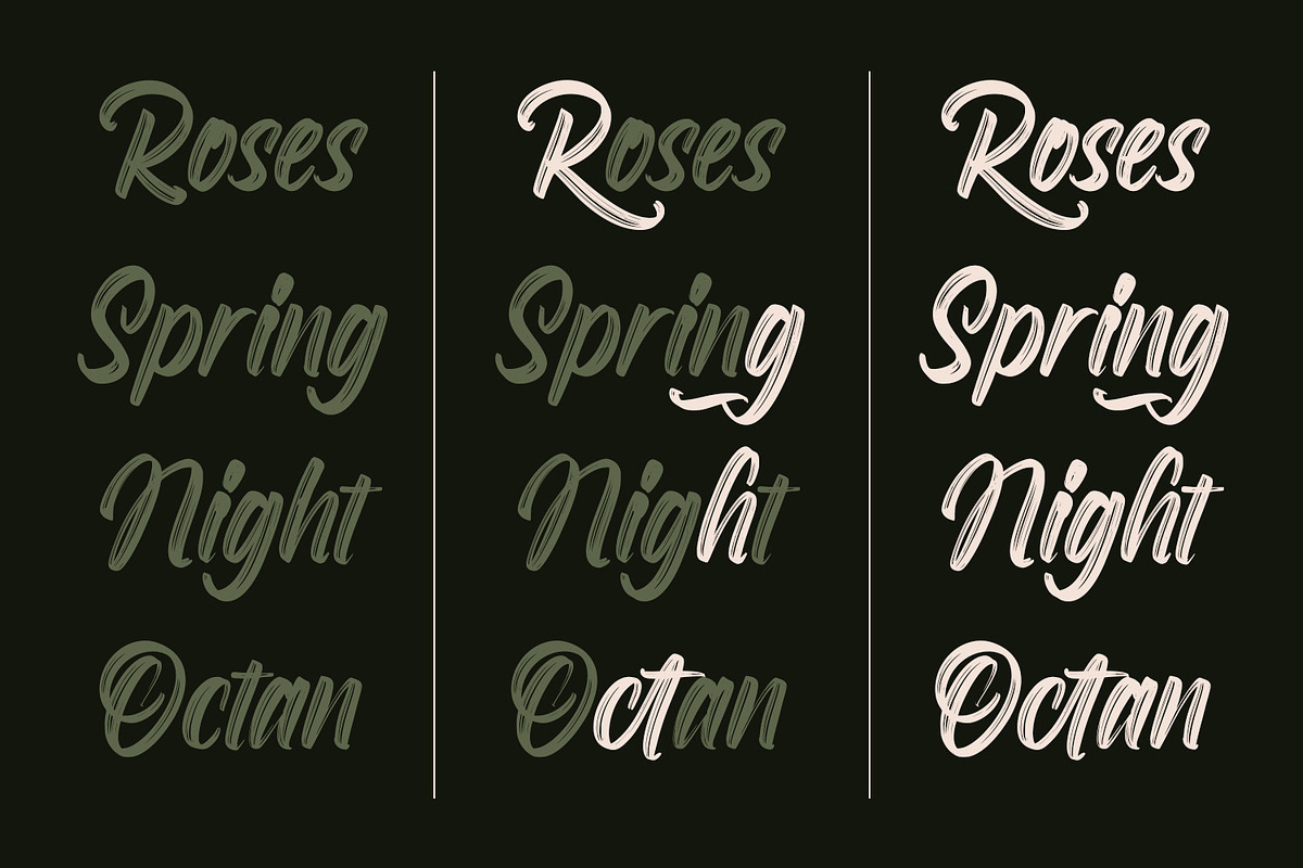 Roselight Brush, a Script Font by din-studio.com (Photo 14 of 16)