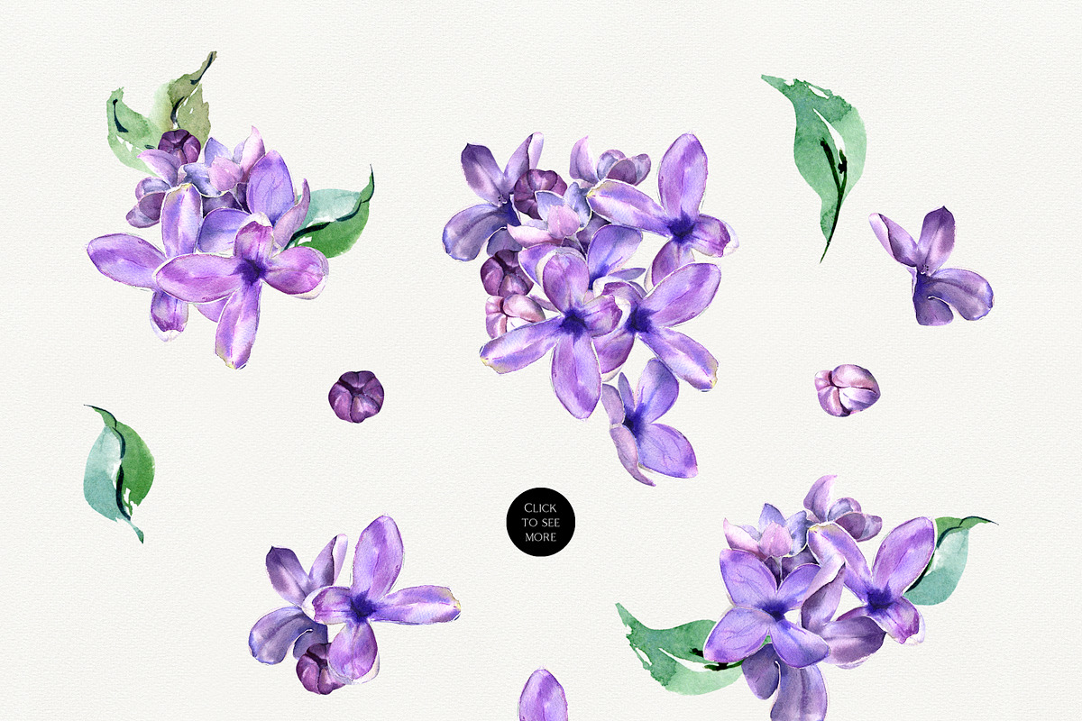 Sale 50% Lilac Blooming Spring, an Illustration by Olga Koelsch (Photo 6 of 9)