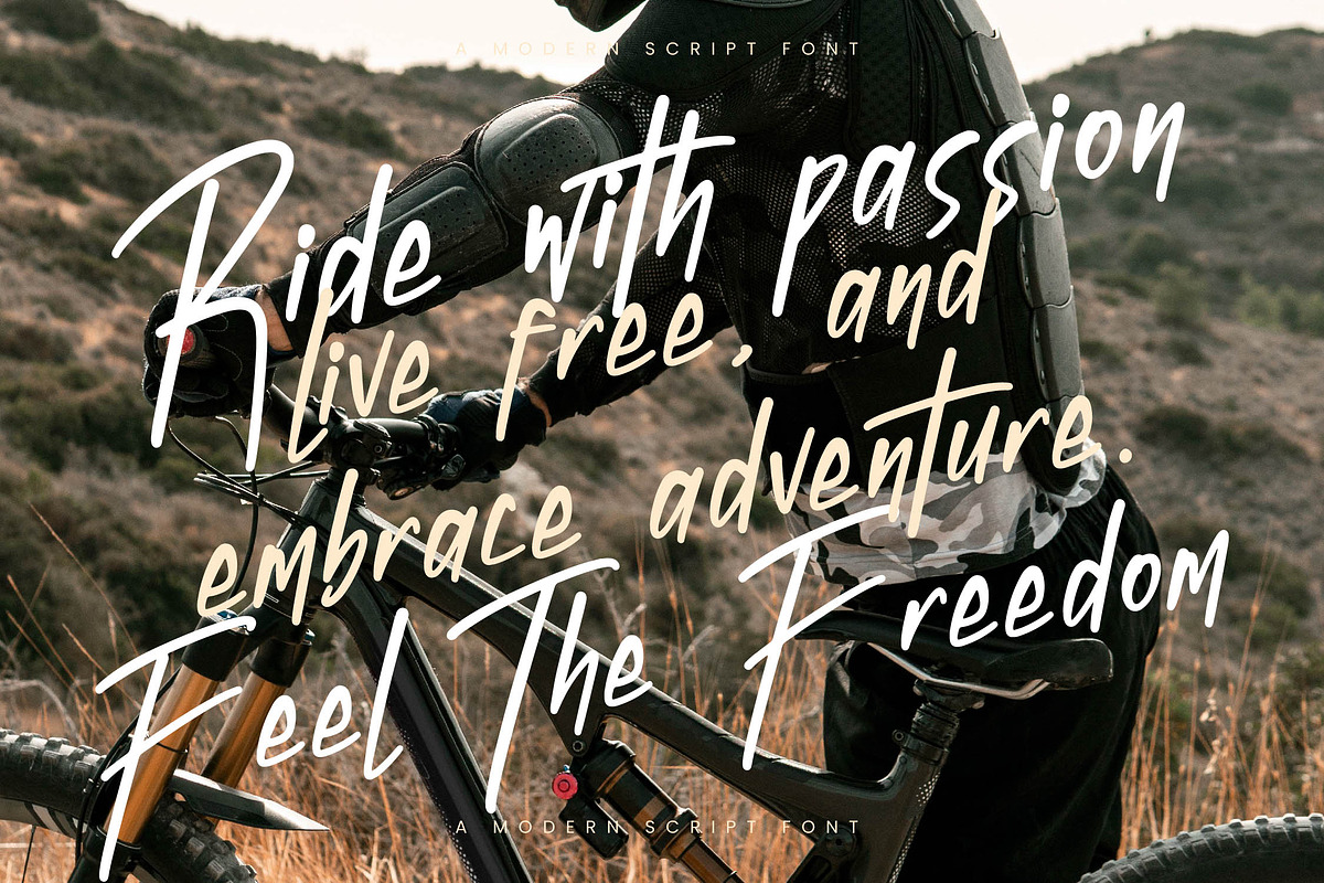 Framework Stonelabs, a Script Font by Integritype Studio (Photo 13 of 15)