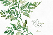 Fern Land. Watercolor Collection, an Illustration by OctopusArtis (Thumbnail 8 of 8)