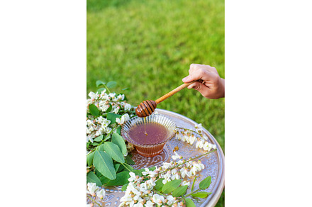Honey from acacia in the garden, a Nature Photo by yanadjana