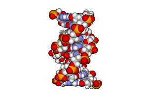 Part of a DNA double helix (a space, a Healthcare Illustration by Leonid Andronov