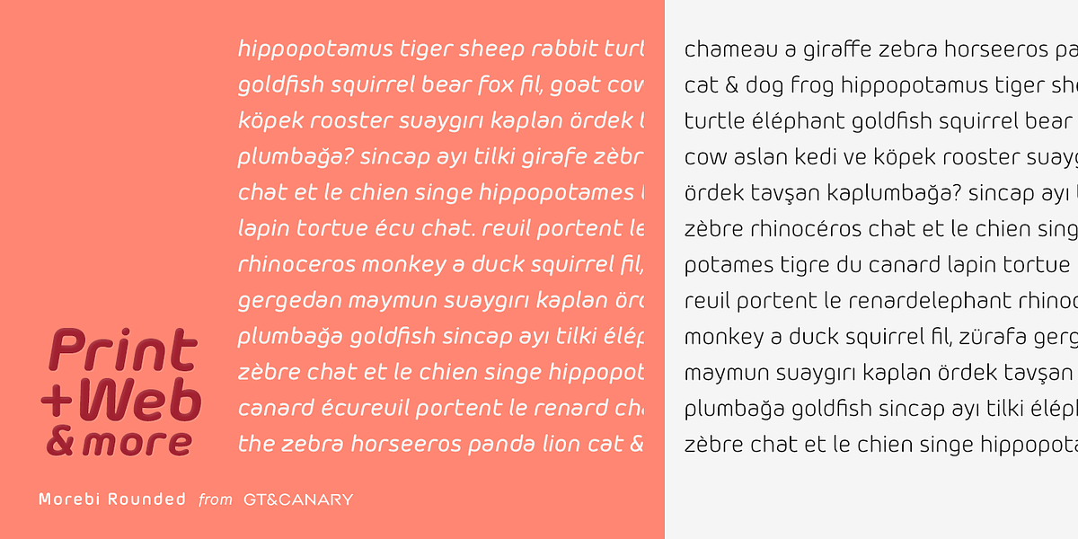 Morebi Rounded, a Sans Serif Font by GT&CANARY (Photo 4 of 6)
