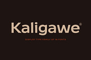 Kaligawe, a Sans Serif Font by Locomotype (Thumbnail 1 of 12)