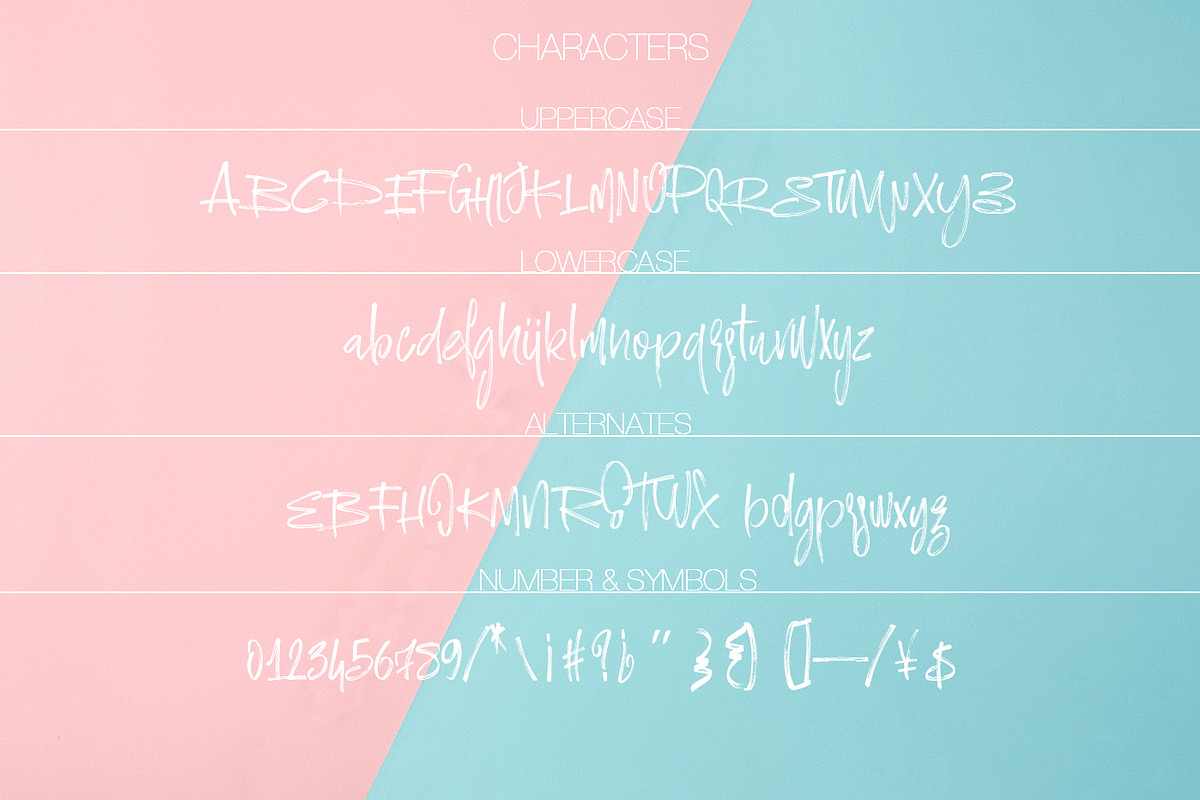 Ramsterink Script  Brush Font, a Script Font by Design Dukkan (Photo 9 of 9)