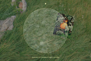 Bleached and Crumpled Paper Overlays, a Texture Graphic by Freezerondigital (Thumbnail 6 of 9)