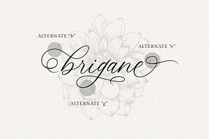 Keukenhof Modern Calligraphy Font