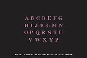 Blomma Hand-Drawn Display Font, a Serif Font by Up Up Creative (Thumbnail 5 of 12)