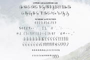 Sublimation | Script Font, a Handwritten Font by Scratchones (Thumbnail 7 of 9)