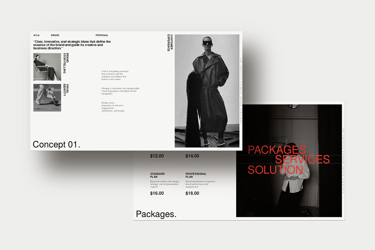 Ayla | Brand Proposal, a Presentation Template by SparkPro (Photo 6 of 8)