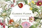 Botanical Flowers vol.1, an Illustration by BlackBird Foundry (Thumbnail 1 of 3)