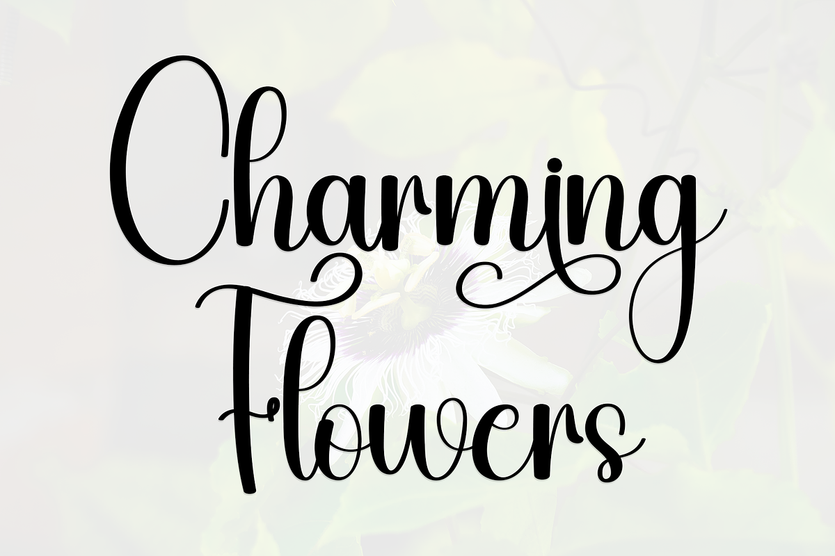 Flourish, a Handwritten Font by InermediaSTUDIO (Photo 5 of 8)