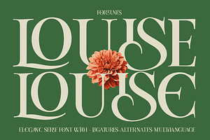 Louise - Elegant Ligatures Serif