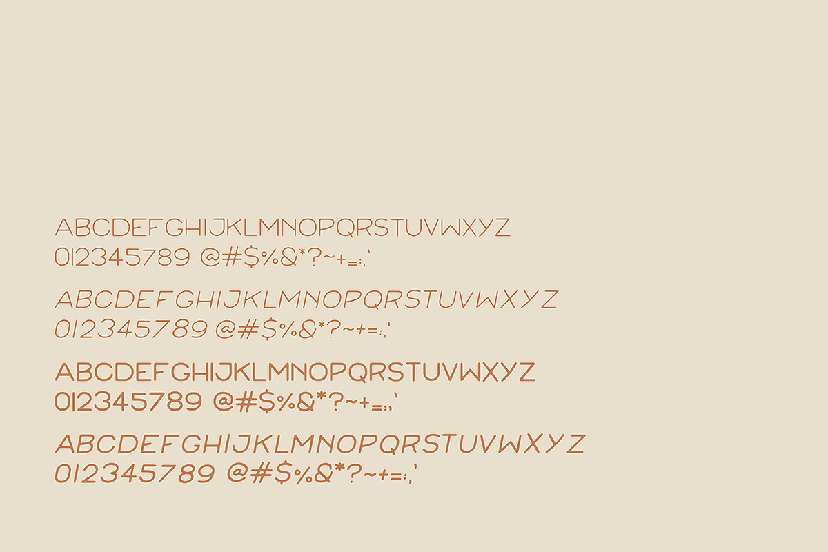 Tumbleweed, a Sans Serif Font by MEG BURK CHOI (Photo 4 of 4)