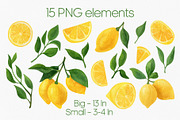 Lemon fruit watercolor clipart, a Decorative Illustration by Anntre (Thumbnail 2 of 4)