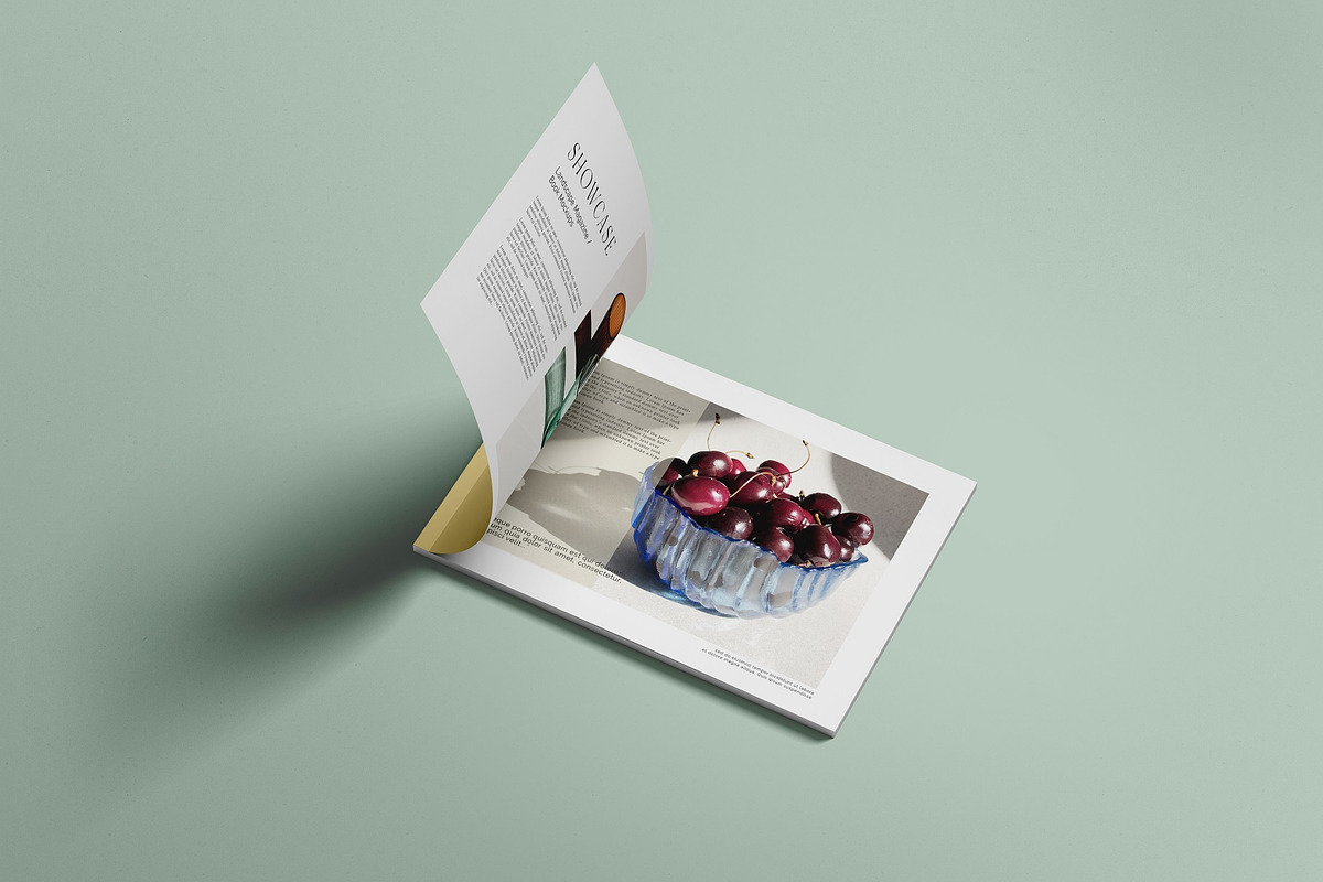 Landscape Magazine /brochure Mockup, a Books & Magazine Mockup by Tahtagraphic (Photo 9 of 14)