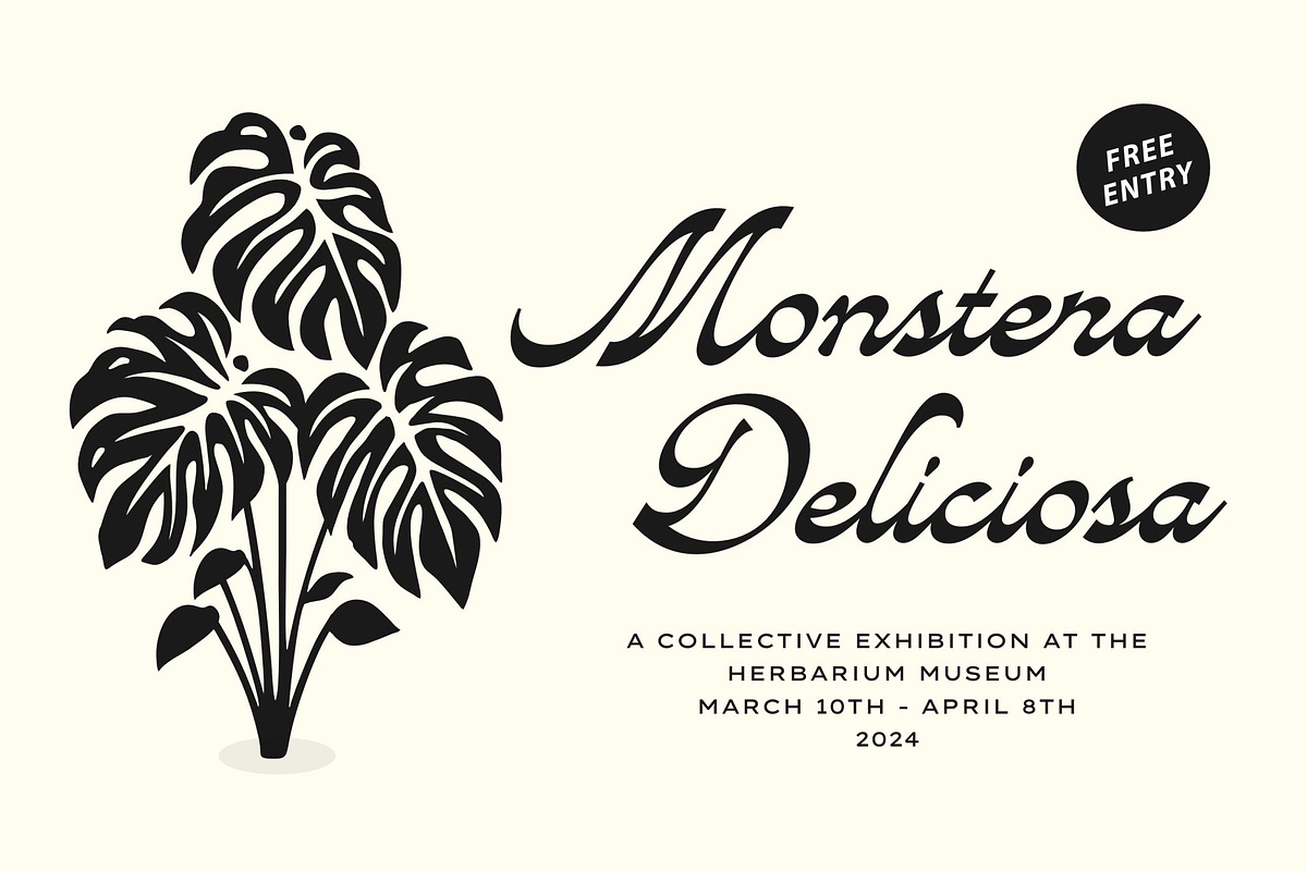 Avandgarde Modern Script, a Font by Swandtype (Photo 4 of 10)
