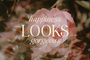 Shows Gracious | Regular + Italic, a Serif Font by roomspace creative lab (Thumbnail 7 of 14)