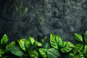 99 Frames of green leaves, a Nature Photo by Handmadefont (Thumbnail 90 of 100)