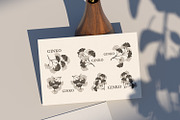Set small ginkgo biloba, a Decorative Illustration by blackmoon9 (Thumbnail 2 of 3)