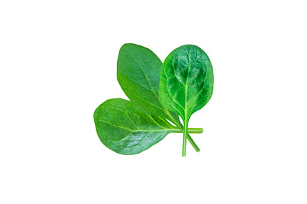 Spinach leaves isolate on white, a Food & Drink Photo by yanadjana