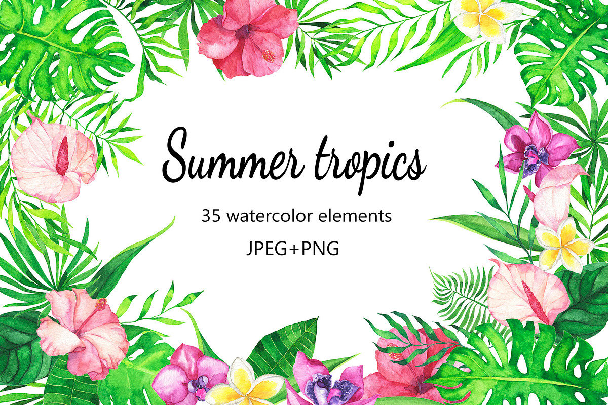 Tropic watercolor flower set, a Decorative Illustration by Watercolor & sketches (Photo 1 of 7)