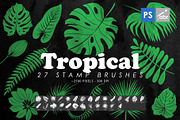 Tropical Leaves Photoshop Brushes, a Brush Add-On by ArtistMef (Thumbnail 1 of 4)