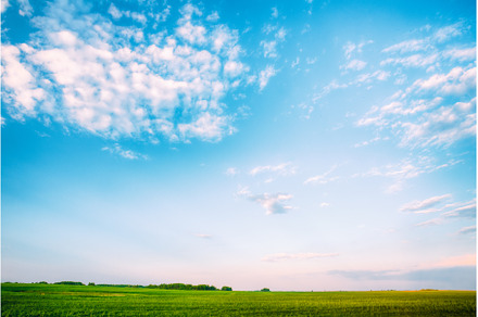 Field Landscape Under Scenic Spring, a Nature Photo by Our Amazing World