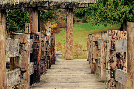 Barn And Blueberries preview 6