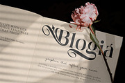 Shanolia for Luxury Branding, a Serif Font by Glyphminds Studios (Thumbnail 4 of 10)