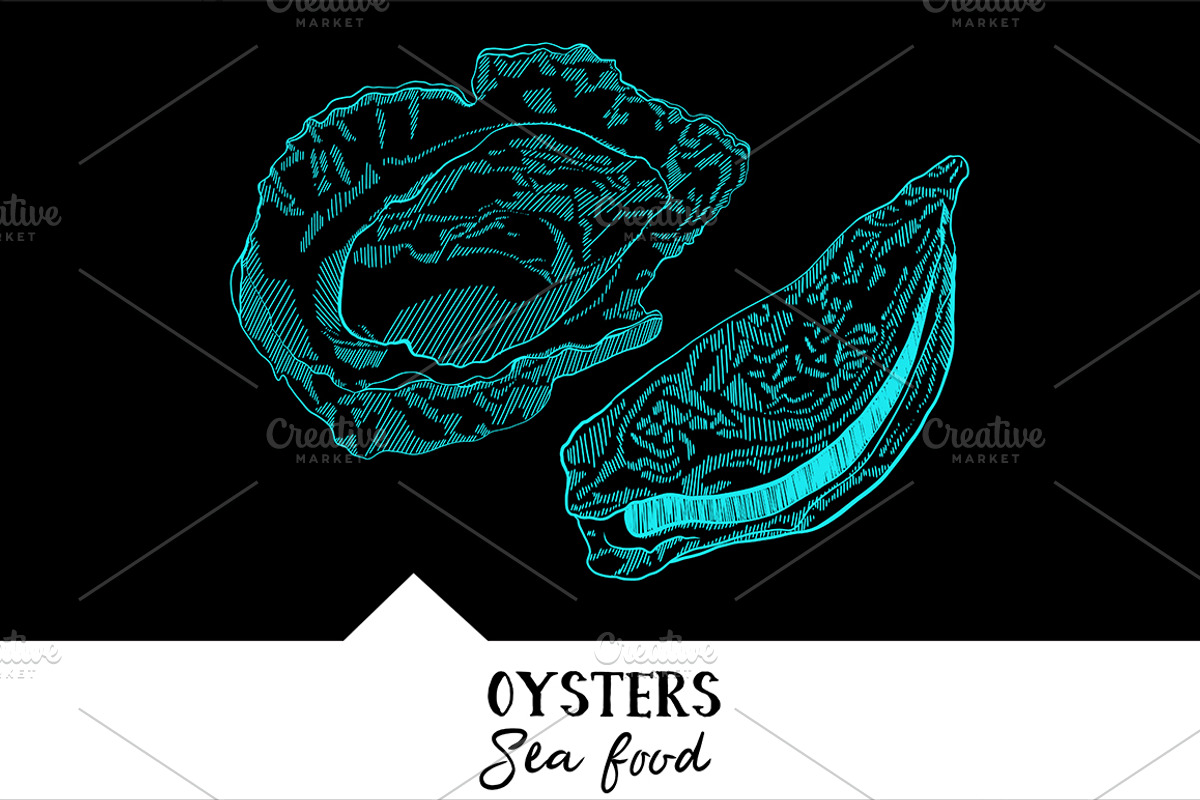 10 vector hand-drawn sea creatures, a Brochure Template by RichmanStudio (Photo 8 of 11)