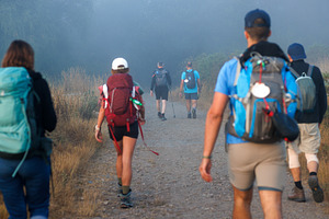 Pilgrims Walking on Foggy Camino Primitivo Trail, Galicia, Spain, a Person Photo by Bepslabor