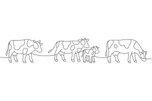 Four cows and calf. Minimalist group, an Animal Illustration by GraphiShop