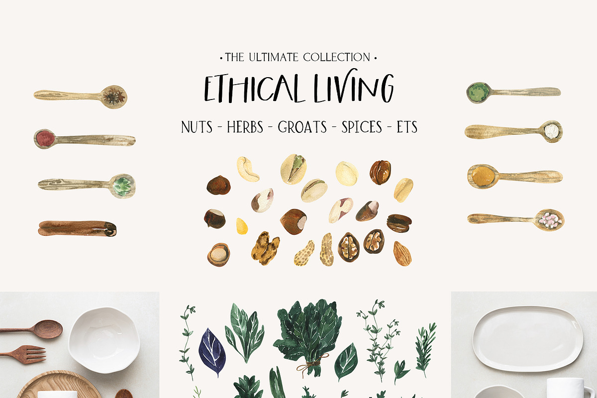 ETHICAL LIVING vegan & eco lifestyle, a Healthcare Illustration by Lana Elanor (Photo 12 of 28)