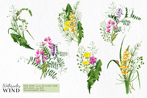 Wild Floral Clipart Meadow Flowers