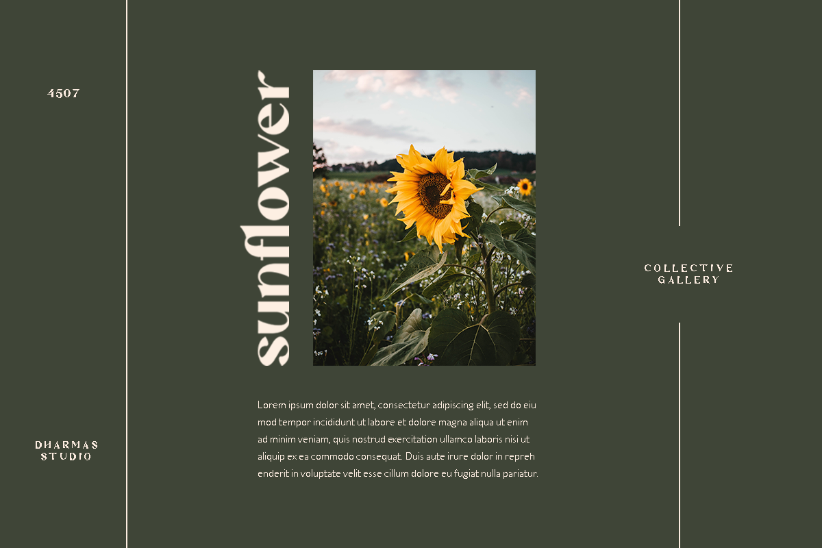 Mattire - Modern Serif Typeface, a Sans Serif Font by Dharmas Foundry (Photo 5 of 12)