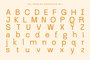 Magseva - Grotesque Experimental, a Sans Serif Font by RagamKata (Thumbnail 8 of 10)
