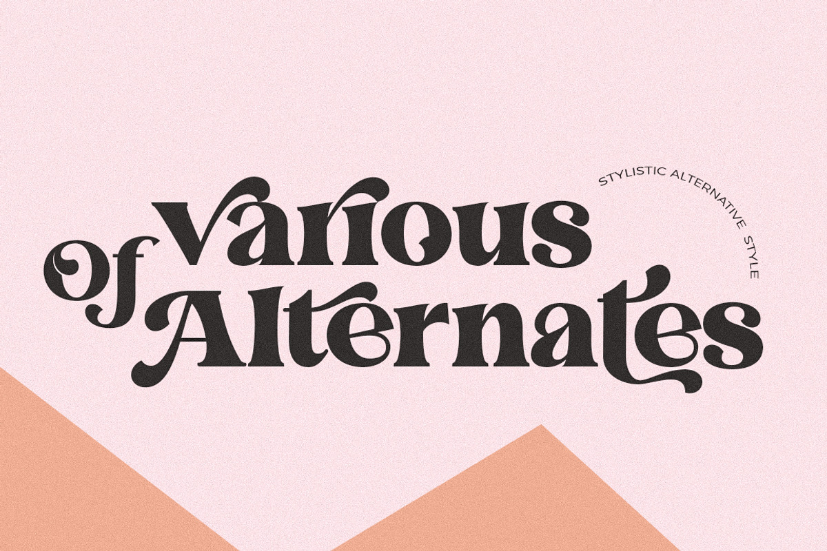 Fieasto, a Serif Font by Dora Typefoundry (Photo 8 of 18)