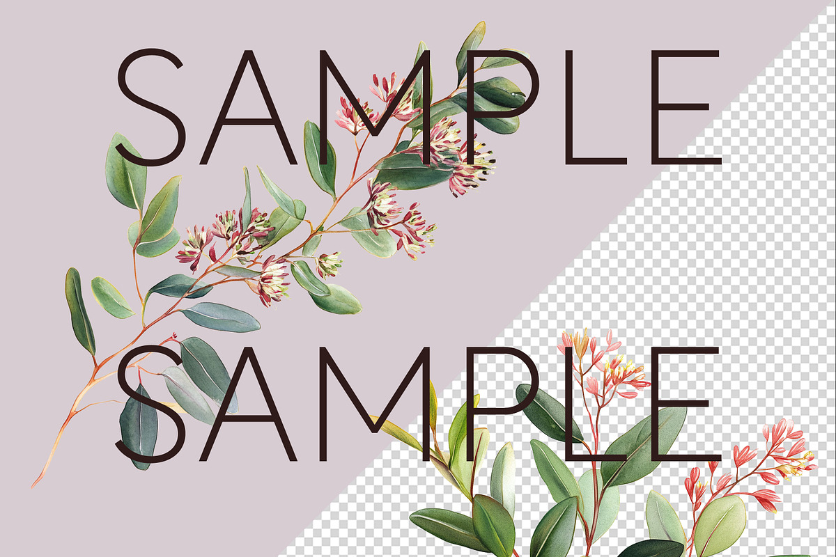 Australian Watercolur Flowers Mega, a Decorative Illustration by Pawcasso's Portraits (Photo 2 of 10)