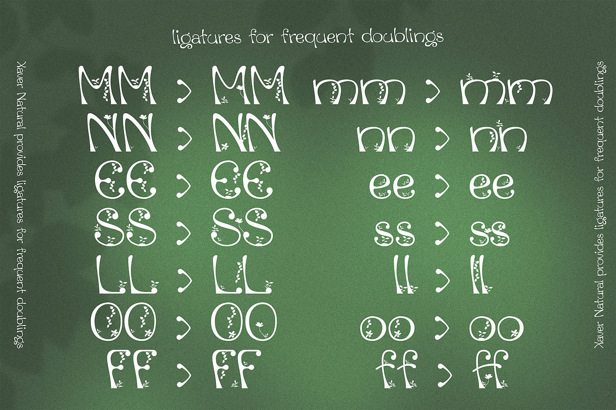 Xaver Nature Font, a Sans Serif Font by Xaver DesignStudio (Photo 9 of 12)